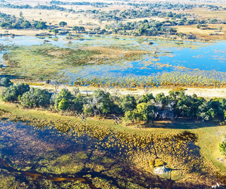 3 reasons you need to visit Botswana in 2017