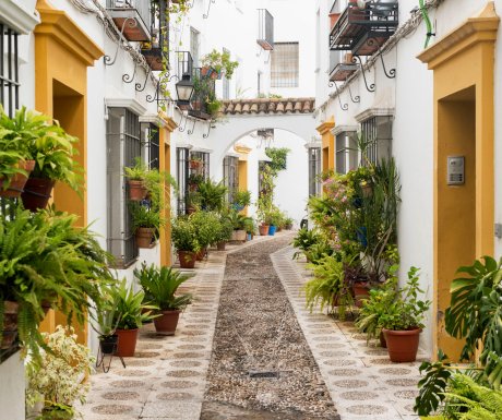 5 things to do with Cordoba