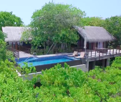 3 of the world&#039;s most effective luxury treehouse hotels